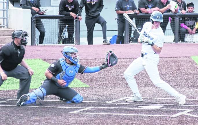 <b>Aa pitched ball bounces off of Sussex Skylanders batter Zachary Clement.</b>