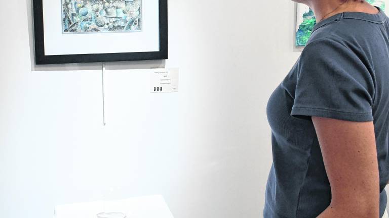 <b>Ela Kusek of Green Township looks at Denise Sivulich's artwork.</b>