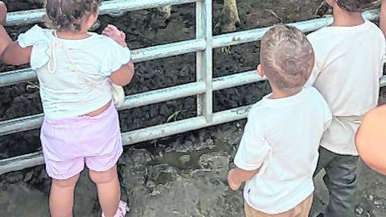 <b>Peter Nussbaum shows a cow to children.</b>