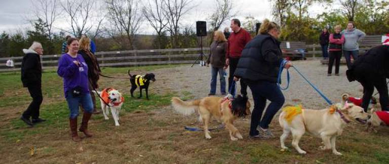Dogs and their owners parade around the park.