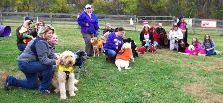 Some of the contestants at the DOGS of Vernon Fall Pupfest and Halloween Parade. Both canines and humans dressed up for the fundraising event.
