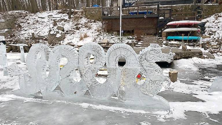 Frozen beauty