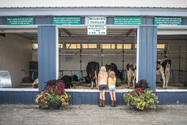 $!The New Jersey State Fair is back and better than ever this summer