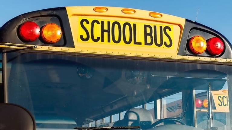 School bus accident causes injury
