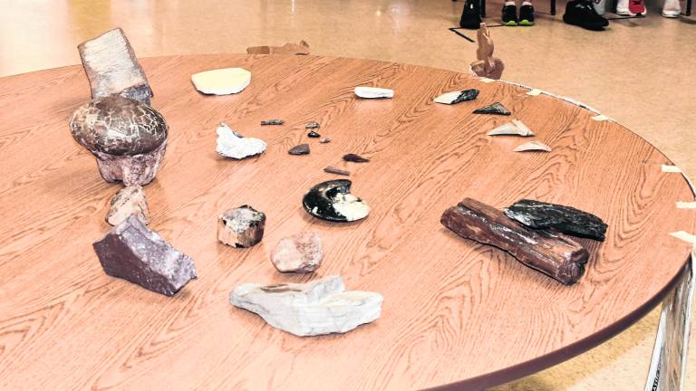 <b>Fossilized dinosaur eggs and bones are placed on a table.</b>