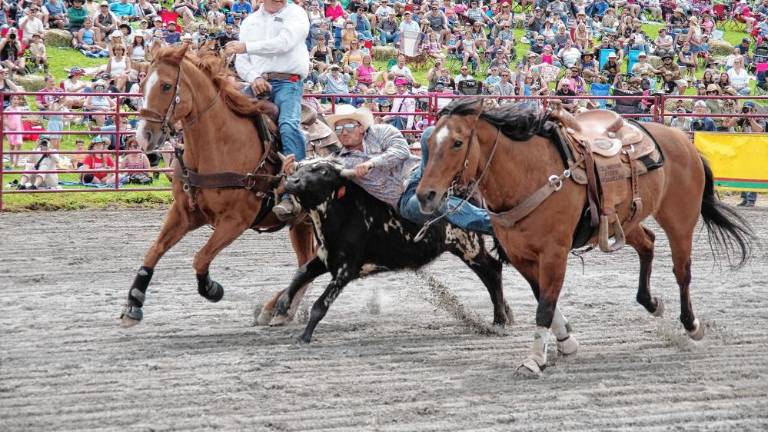Brayden Mahon of Lake Luzerne, N.Y., jumps from his horse onto a steer during the steer wrestling contest during the pro rodeo last year at Green Valley Farms in Wantage. (Photos by George Leroy Hunter)