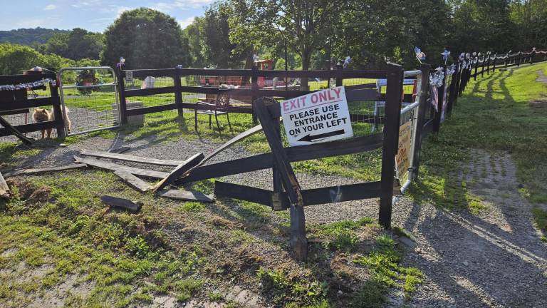 <b>Damage at Wantage Dog Park</b>