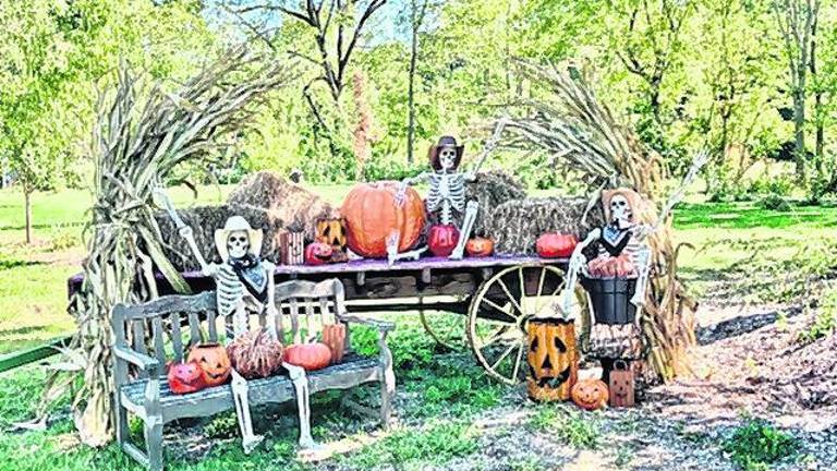 <b>It’s that time of the year again when Sussex County residents gets creative and spooky with their Halloween displays. This display is on Route 638 in Vernon.</b>