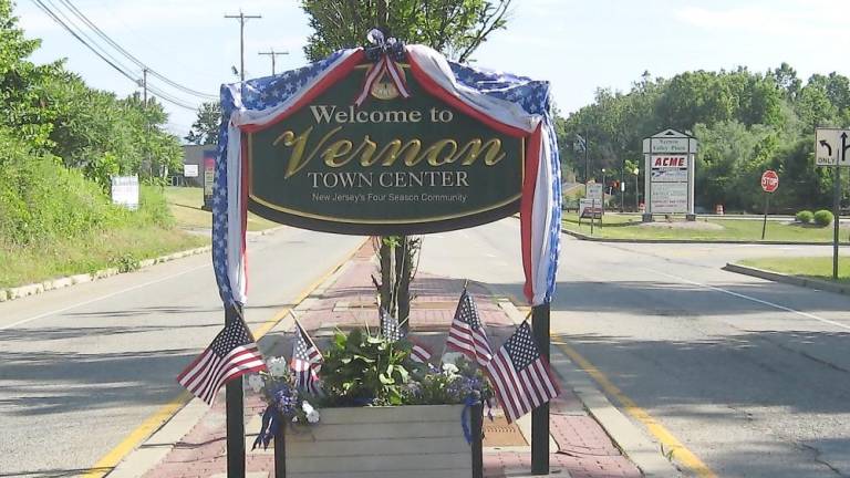 Vernon approves redevelopment plan