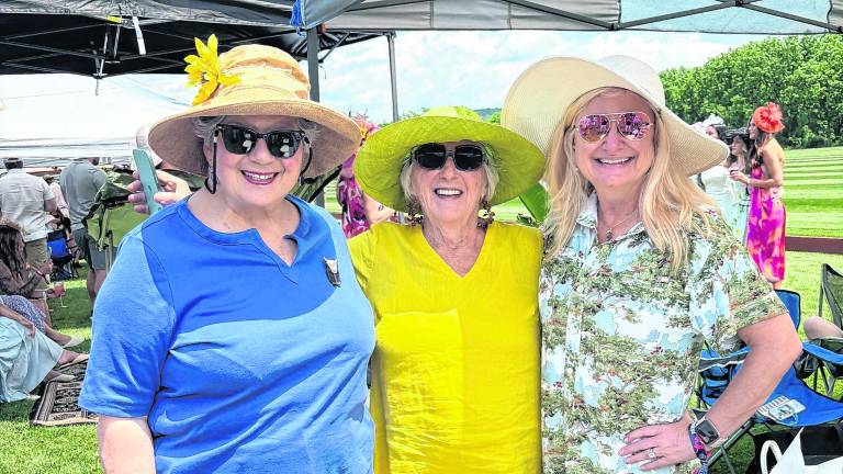 NJ Polo will host a match at the Grayfields Polo Club to raise funds for Project Self-Sufficiency.